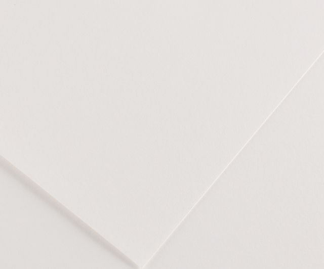 Canson Bristol Smooth 18X24 10 Sheets