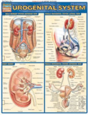 URO-GENITAL SYSTEM