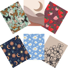 FY24 STUDIO SERIES NB ASST